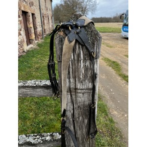 collier de chasse