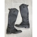 Botte donatello