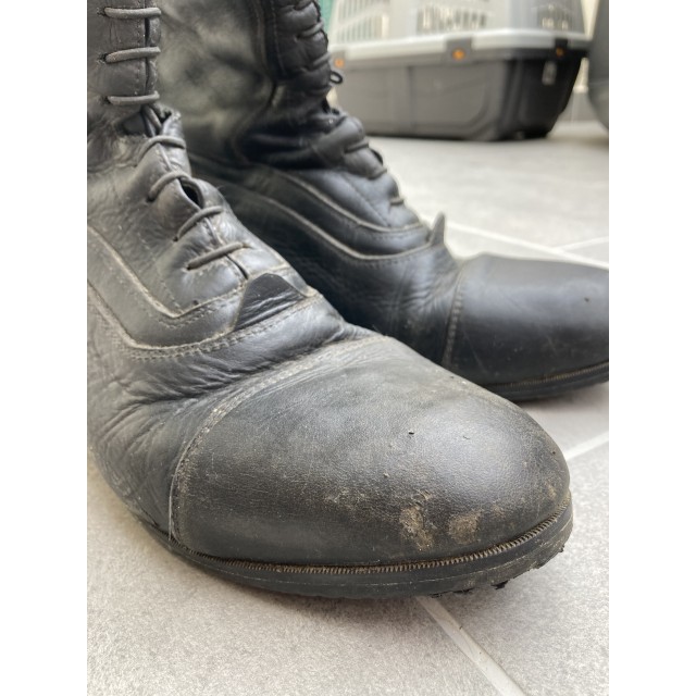 Botte donatello