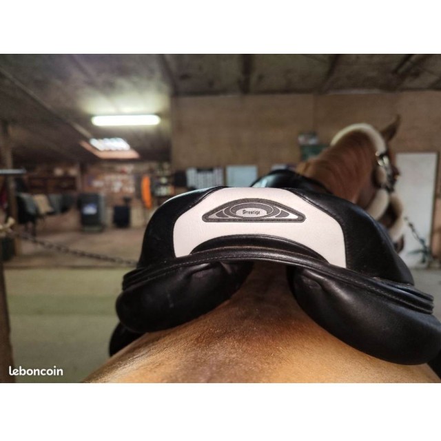 Selle meredith Prestige