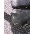 Protections Back on track