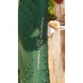 Tapis vert