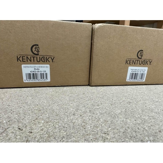 Protege sangle kentucky