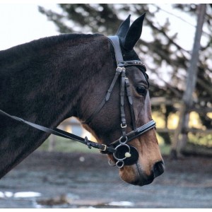Bridon Marron