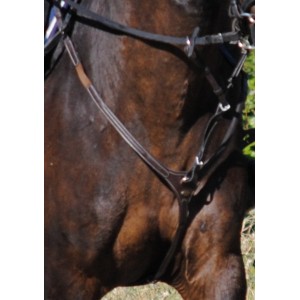 collier de chasse