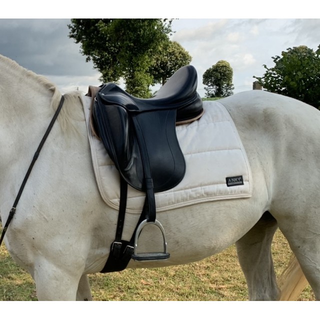 Tapis dressage anky