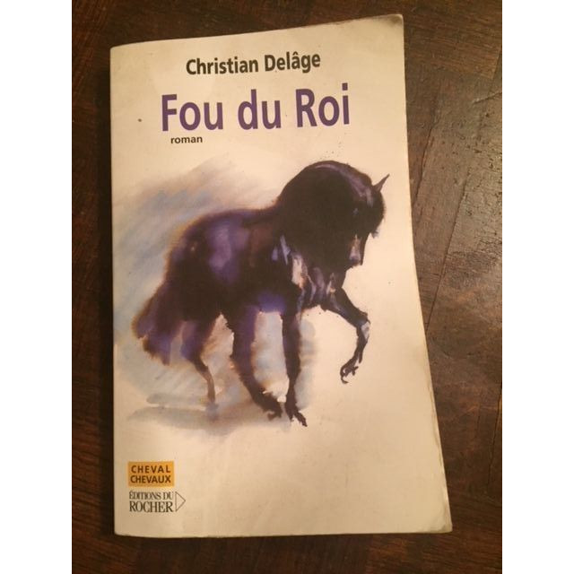 Roman Fou du roi