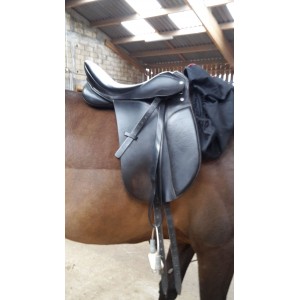 Selle dressage/loisir