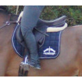 Tapis veredus
