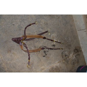 Collier chasse elastique