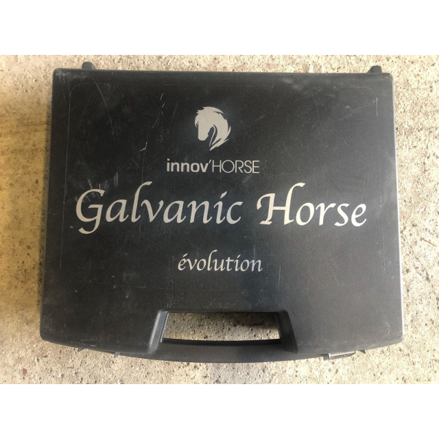 Calvanic Horse
