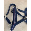 Licol bleu de l’équipe de France