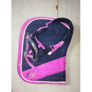 Ensemble tapis + licol
