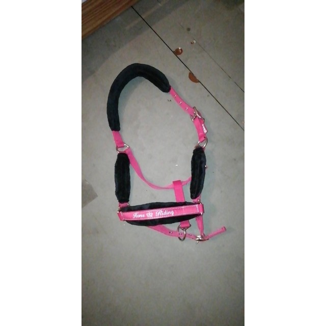 Ensemble tapis + licol