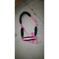 Ensemble tapis + licol