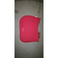 Ensemble tapis + licol
