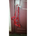 Ensemble tapis + licol