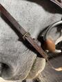 Filet chetak taille cheval havane