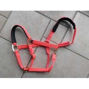 Licol neuf cheval