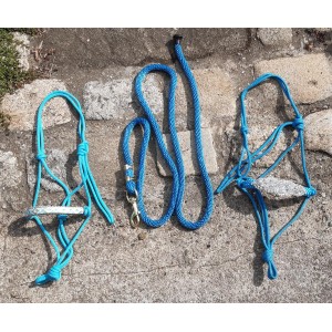 Licol éthologique bleu turquoise