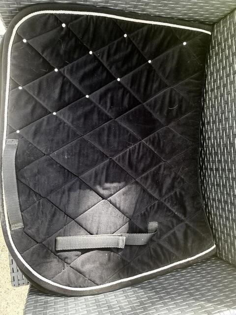 Tapis equitheme