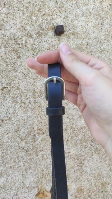 Paire de rênes