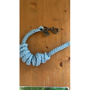 Longe shetland ou poney bleu claire