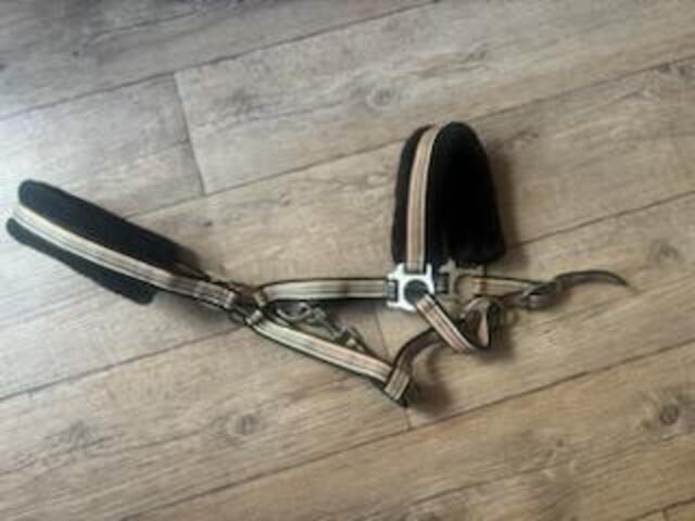 Licol cheval