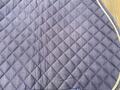 Tapis antares
