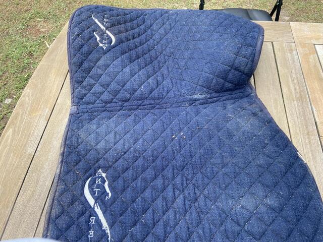 Tapis antares