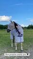 Couverture anti mouches horsewear