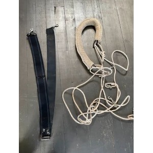 Ceinture de longe élastique cheval
