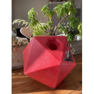 jouets pour cheval avec bonbons