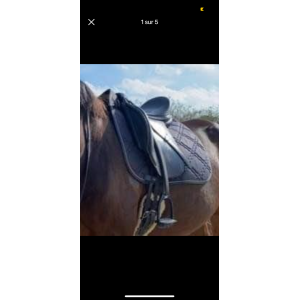 Selle de Dressage