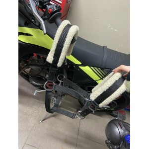 Licol norton