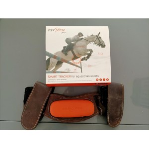 Equisence motion