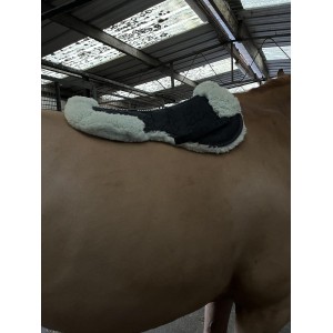 Amortisseur mouton cheval HKM