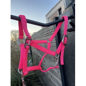 licol rose fushia