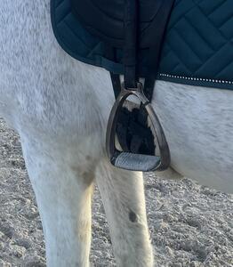 Selle de dressage Devoucoux Makila Harmonie