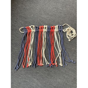 Frontal anti-mouche bleu, blanc et rouge