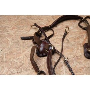 Collier de chasse Time Rider marron taille cheval