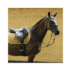 Tapis kentucky velvet