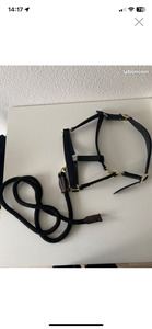 Licol cuir nylon Kentucky avec longe Norton