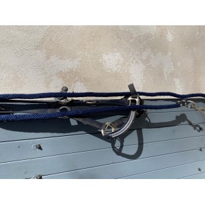 Licol bleu marine + longe