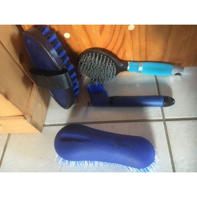 brosse hippo-tonic