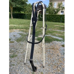 Martingale Canter noir