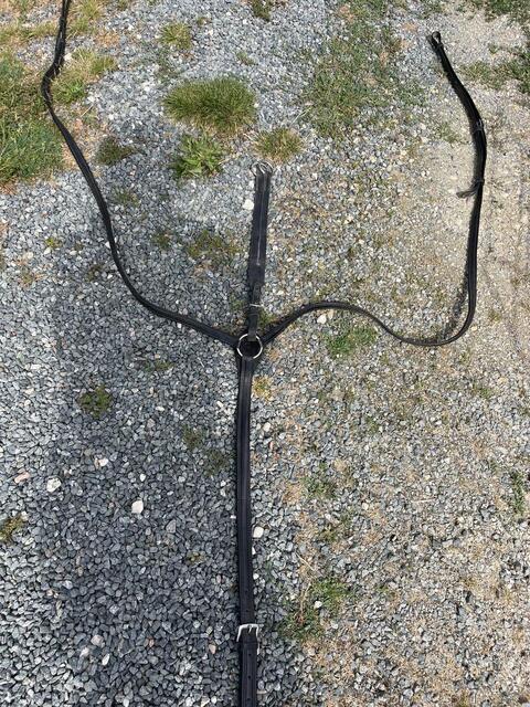 Collier de chasse taille cheval norton
