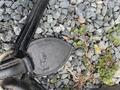 Collier de chasse taille cheval norton
