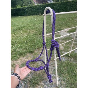 Licol éthologique violet et noir COB