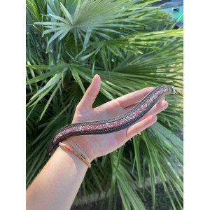 Frontal Hekktor Leather rose